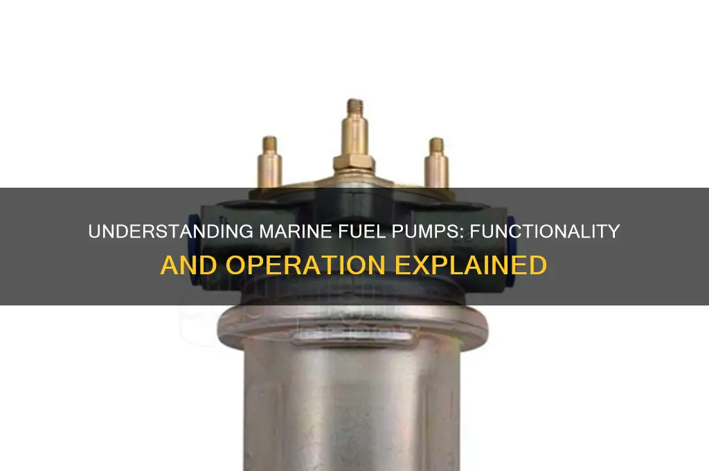 how marine fuel pump works