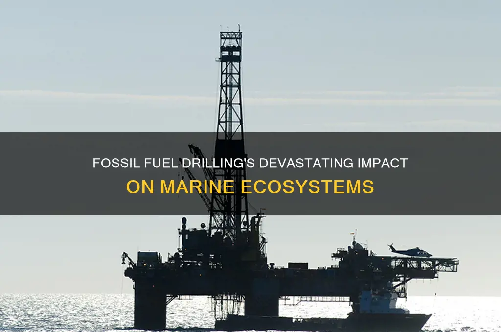 how marine life is affected by fossil fuel drilling