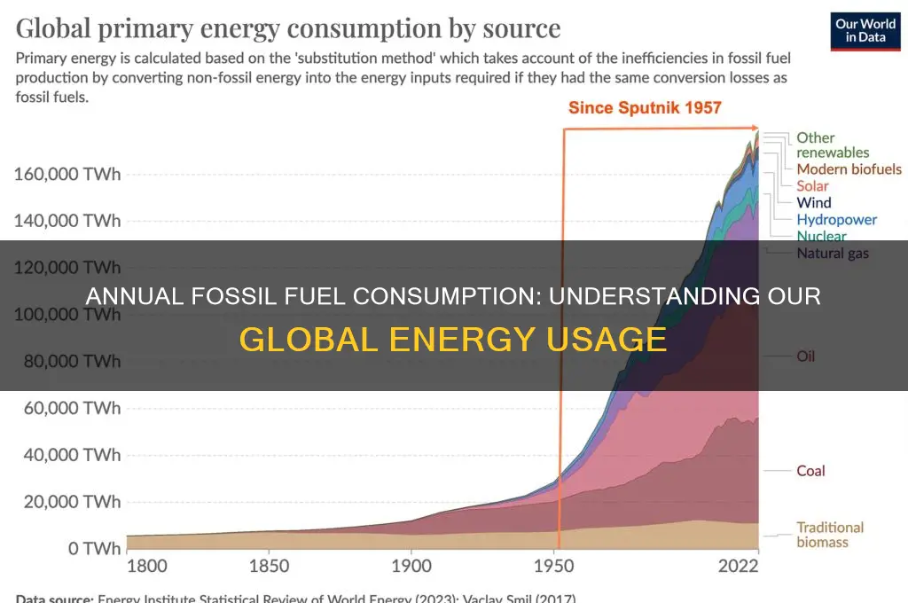 how may fossil fuels do we go through a year