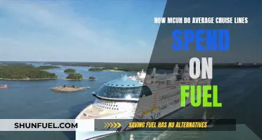 Fuel Costs: Cruise Lines' Expensive Affair