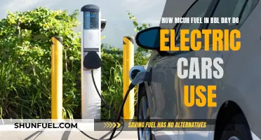 Electric Cars: Fuel Consumption Mystery Unveiled: How Much is it Really?