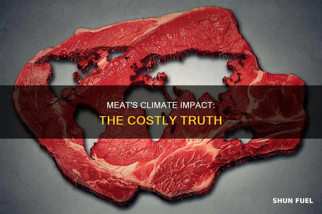 how meat fuels climate change