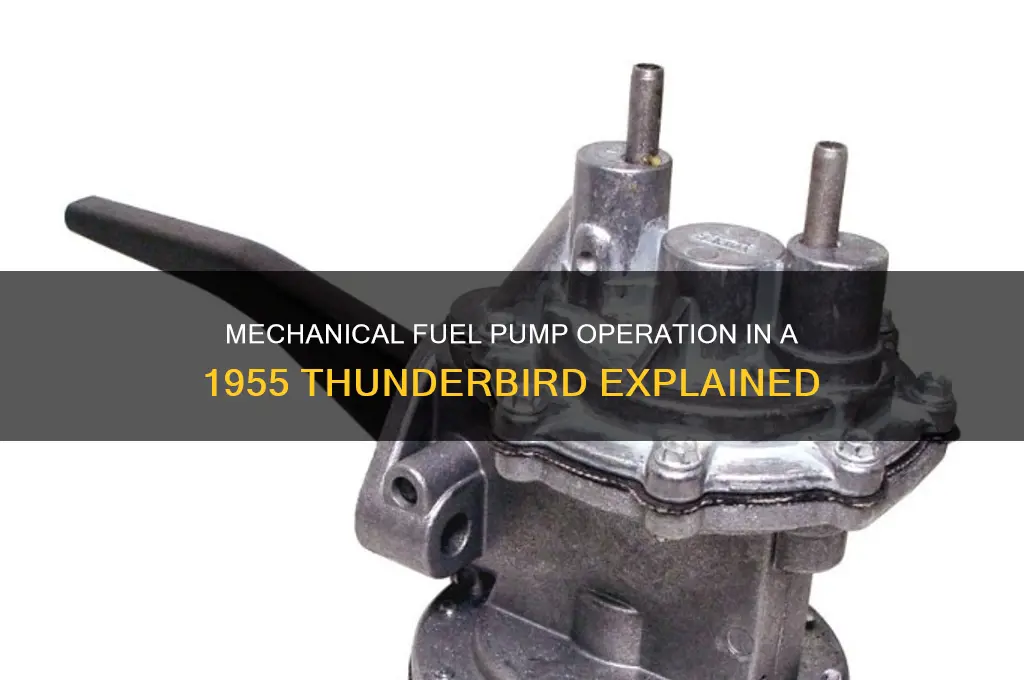 how mechanical fuel pump is working on 55 thunderbird
