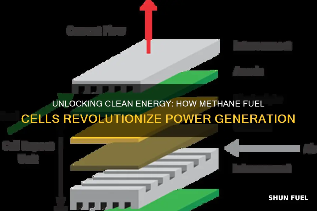 how methane fuel cell