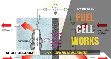 Unlocking Clean Energy: Understanding Microbial Fuel Cell Functionality