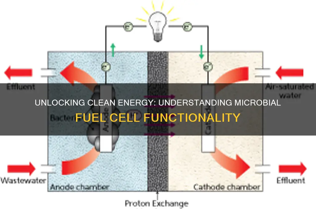 how microbial fuel cell works
