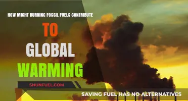 Burning Fossil Fuels: Accelerating Global Warming and Climate Change