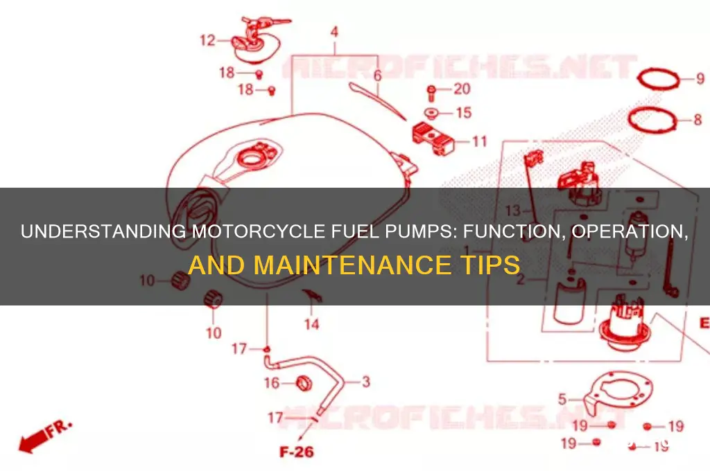 how motorcycle fuel pump works