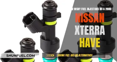 Fuel Injector Maintenance: 2000 Nissan Xterra's Injector Count