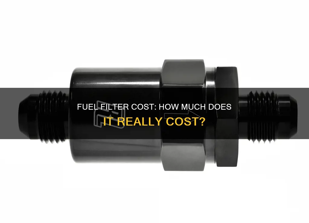 how much a fuel filter cost