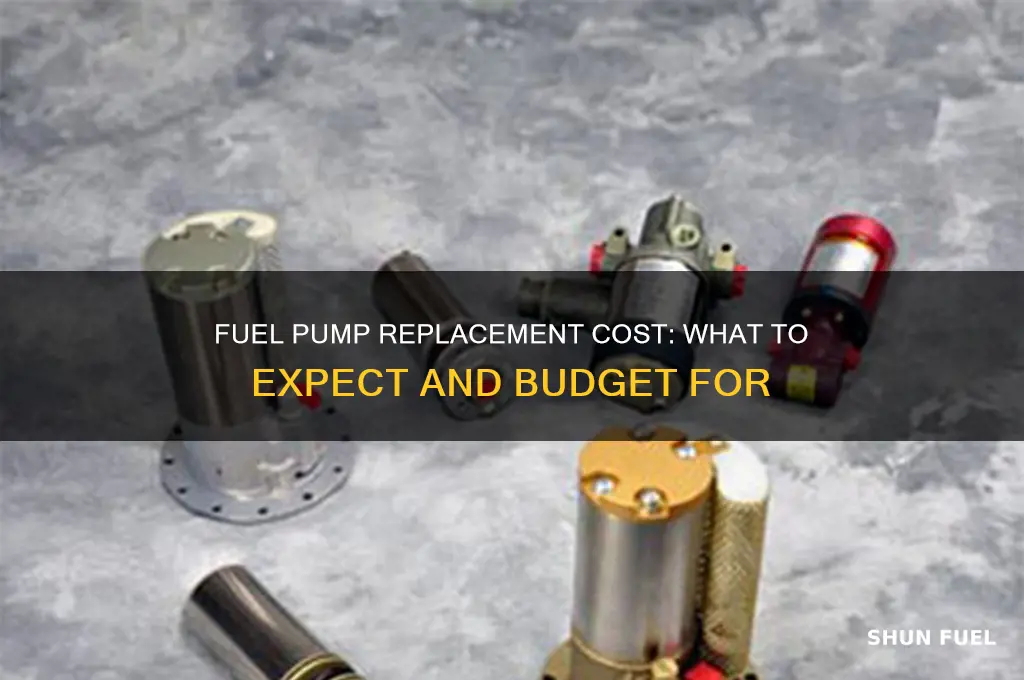 how much a fuel pump replacement cost