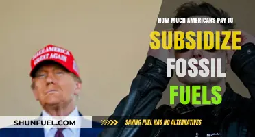 The True Cost of Fossil Fuel Subsidies in America