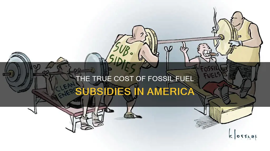how much americans pay to subsidize fossil fuels