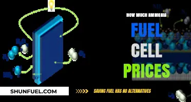 Ammonia Fuel Cell Prices: What's the Cost?