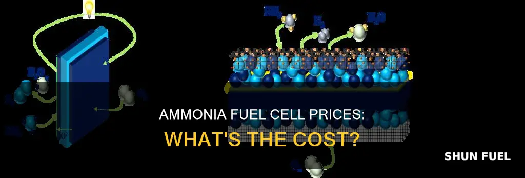 how much ammonia fuel cell prices