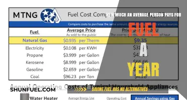 Fuel Costs: Average Person's Annual Expense