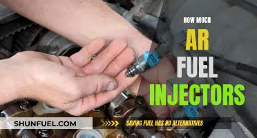 Fuel Injectors: Cost of AR Upgrades and Maintenance