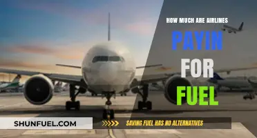 Airlines' Fuel Costs: Who Pays the Price?