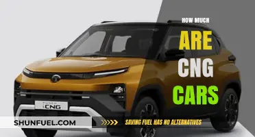 Exploring the Cost of CNG Cars: A Comprehensive Guide