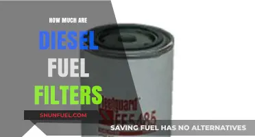 Diesel Fuel Filters: Cost and Maintenance