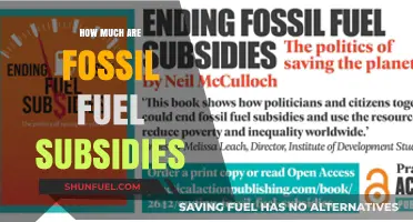 Unveiling the Cost: Fossil Fuel Subsidies and Their Global Impact