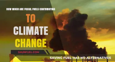Fossil Fuels' Role in Climate Change: Uncovering Their Impact
