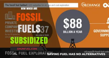 The True Cost of Fossil Fuel Subsidies