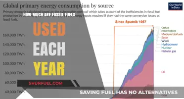 Annual Fossil Fuel Consumption: Global Usage and Environmental Impact