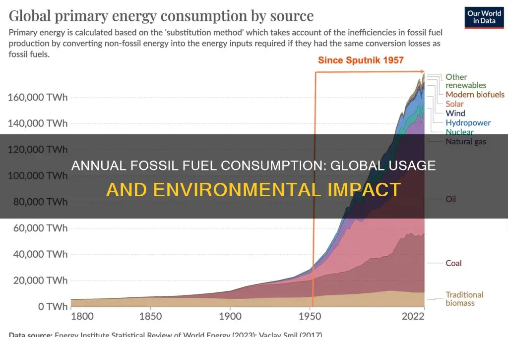 how much are fossil fuels used each year