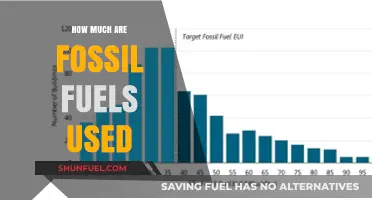 Fossil Fuel Usage: A Global Energy Crisis