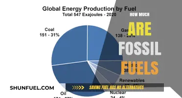 The True Cost of Fossil Fuels: Pricing Our Energy Dependence