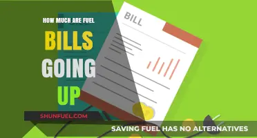 Rising Fuel Bills: How Much Will They Increase?