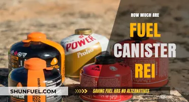 Fuel Canisters at REI: Cost and Benefits