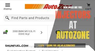 Fuel Injectors at AutoZone: Cost and Quality
