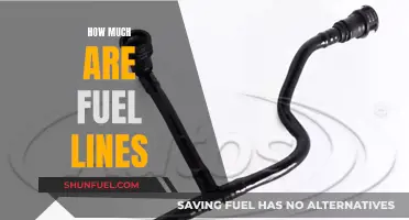 Fuel Line Costs: How Much Do They Affect Your Wallet?