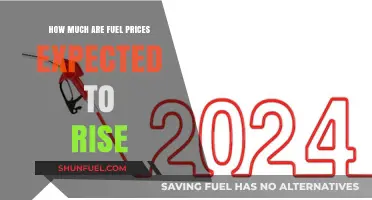 Fuel Prices: How High Will They Go?
