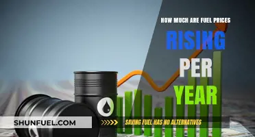Fuel Prices: The Ever-Increasing Annual Cost