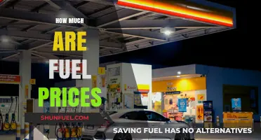 Fuel Prices: The Cost of Filling Up