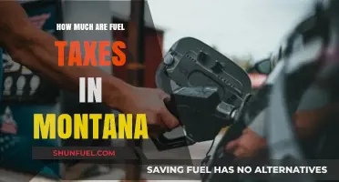 Montana's Fuel Taxes: How Much Do They Cost?