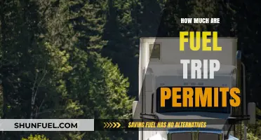 Fuel Trip Permits: Understanding the Cost of Compliance