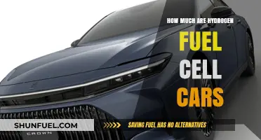 Hydrogen Fuel Cell Cars: Costly Clean Energy Transportation