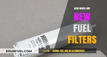 Fuel Filter Replacement: Cost and Maintenance