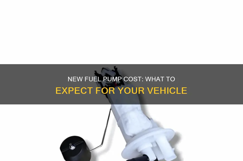 how much are new fuel pump