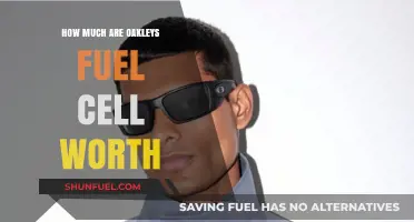Oakley Fuel Cell: Are They Worth the Price?