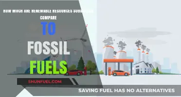 Renewable Energy Subsidies: Outpacing Fossil Fuel Support?