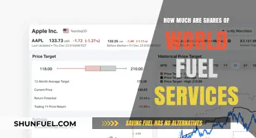 Shares of World Fuel Services: How Much Do They Cost?