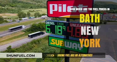 Fuel Prices in Bath, New York: A Costly Affair