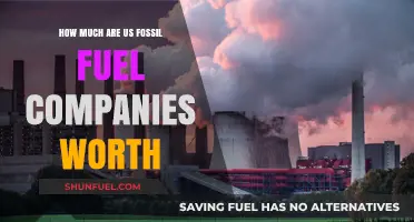 The True Worth of US Fossil Fuel Companies