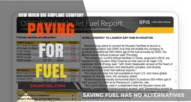 Airplane Fuel Costs: Who Pays the Price?