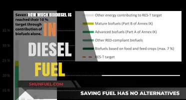 Biodiesel Blends: Understanding Diesel Fuel Composition